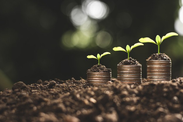 Choisir le placement financier : le guide