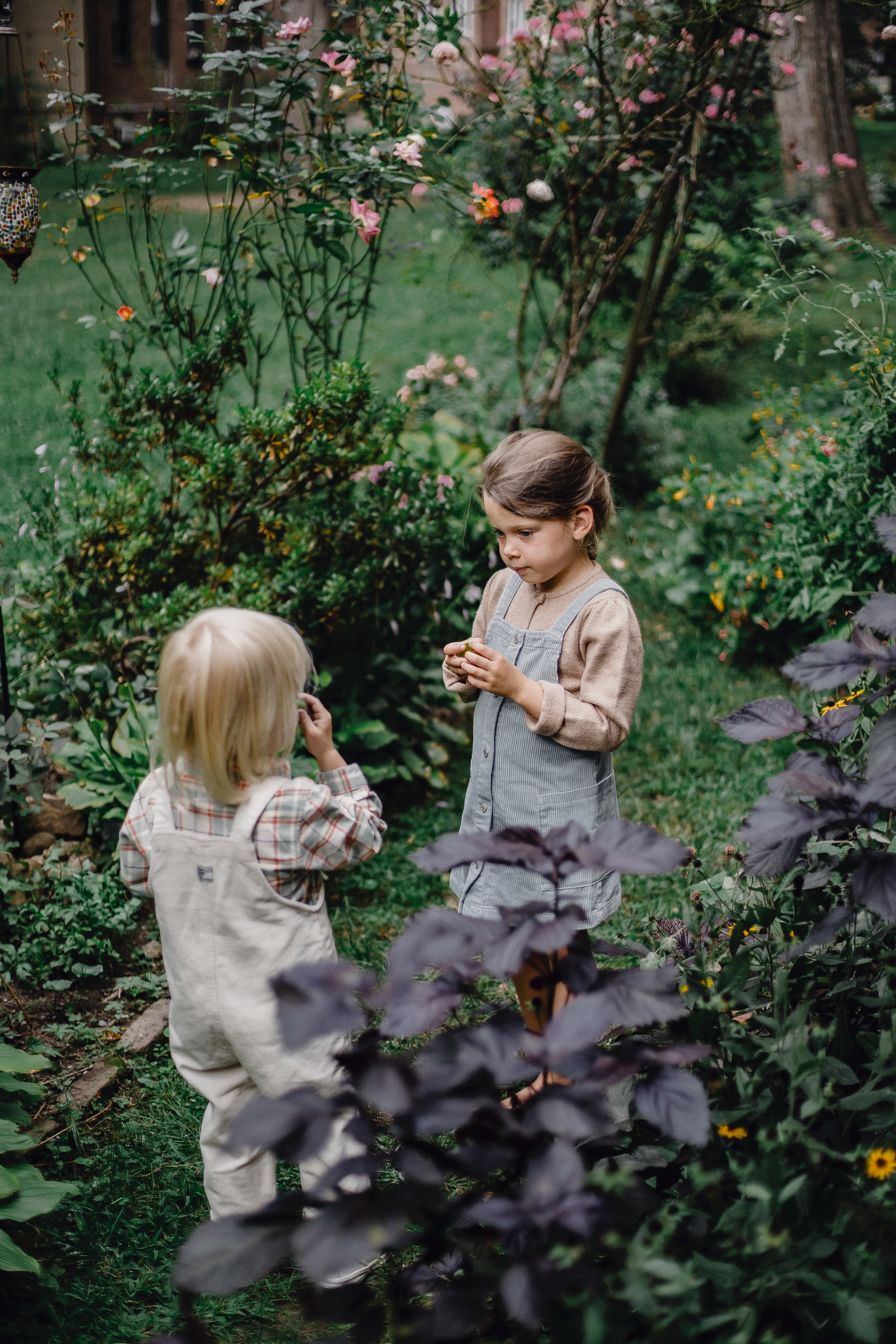 Le top des objets high-tech pour le jardin