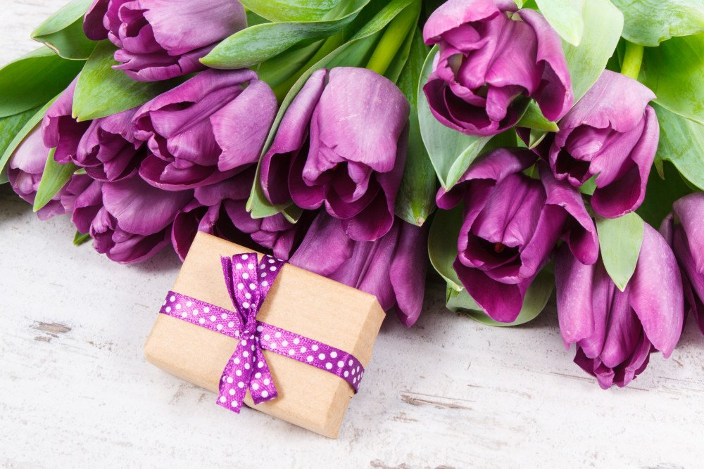Choisir les bonnes couleurs pour chaque occasion : conseils d'un expert en stylisme