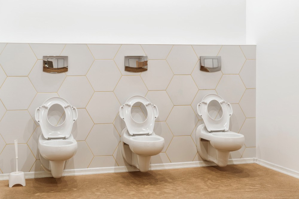 Déboucher des toilettes où l'eau remonte : les solutions pour éviter la catastrophe