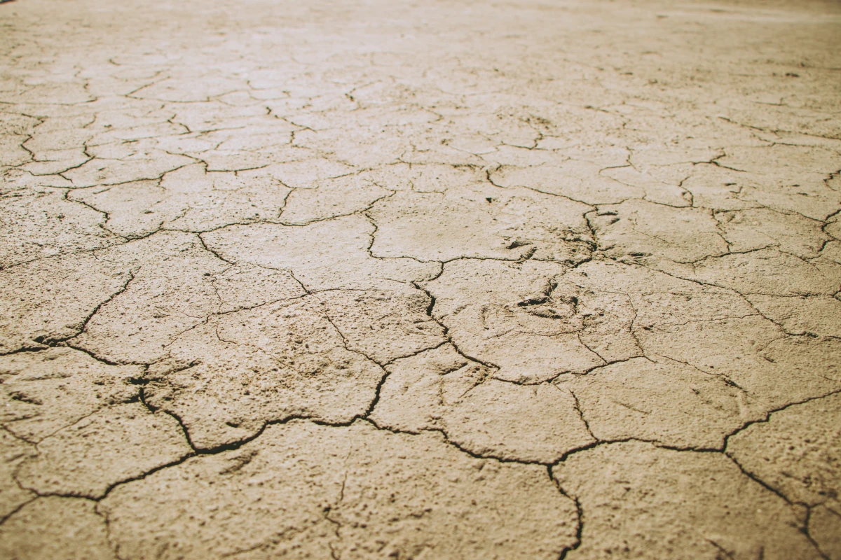 L'impact du réchauffement climatique sur les petits États insulaires : un enjeu majeur à l'échelle mondiale